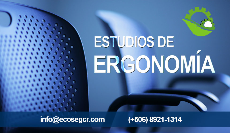 Estudios Ergonomicos ECOSEG